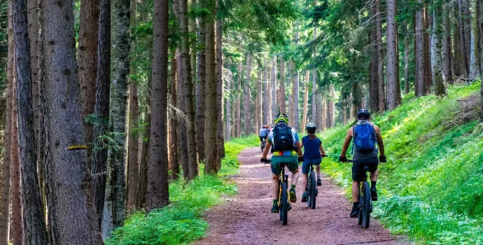 VTT électrique Rockrider de Decathlon naviguant dans une forêt dense