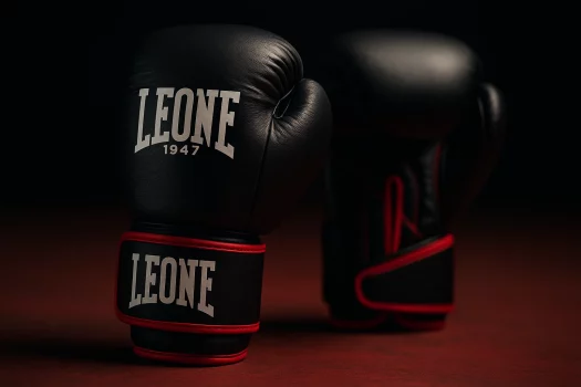 Le Coin du Ring : équipement de sport de combat et gants de boxe Leone