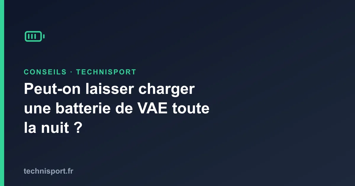 Illustration : Peut-on laisser charger une batterie de VAE toute la nuit ?