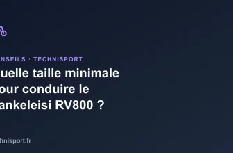 Illustration : Quelle taille minimale pour conduire le Lankeleisi RV800 ?
