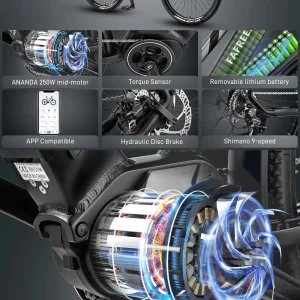 Fafrees FM8 - vue 1 en situation de test