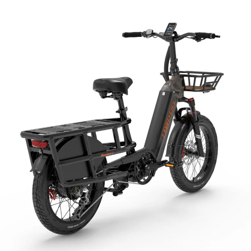 Lankeleisi Wombat-1 - porte-bagages cargo longtail en situation de test