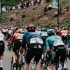 BMC Roadmachine TWO Di2 : avis complet sur ce vélo endurance haut de gamme