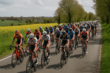 Velopressecollection : le site culte du cyclisme (avis et alternatives)