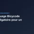 Fiido T2 vs ENGWE LE20 (Version UE) : lequel choisir ?